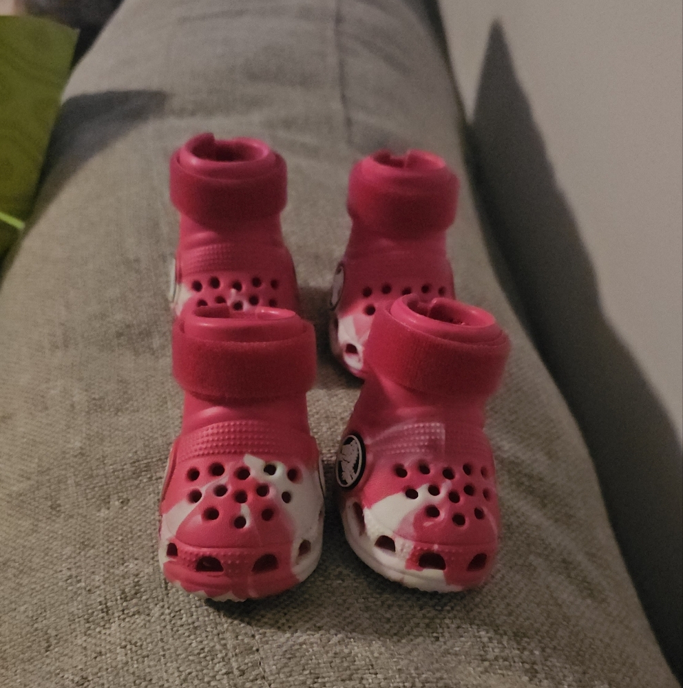 Crocs for dogs